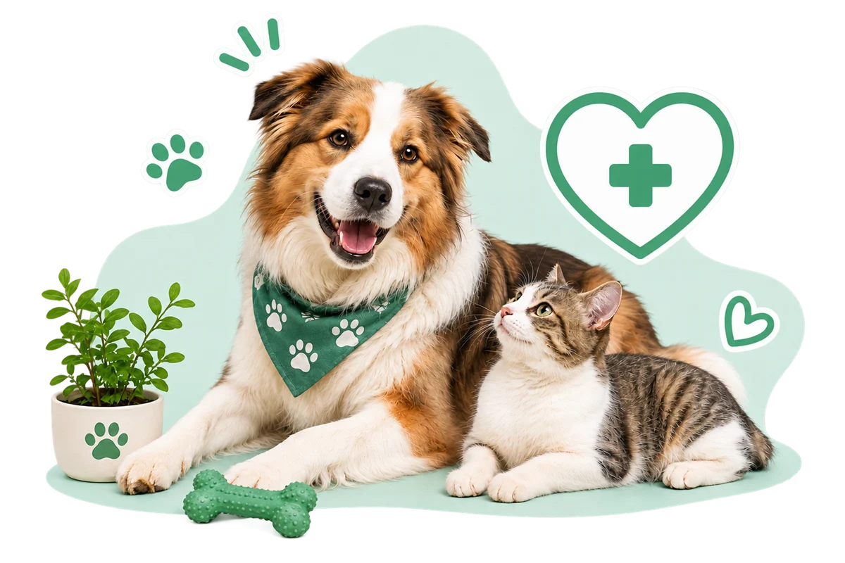Veterinarios Costa Rica: la plataforma de reservas para tu clínica