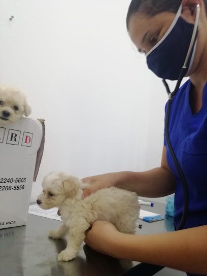 Veterinaria Soluciones Clínicas H y M